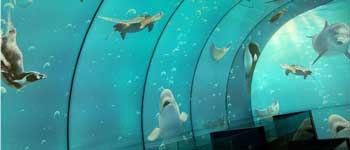 辦公室裝修可以任性到什么程度 你見過海底和空中的辦公室嗎？