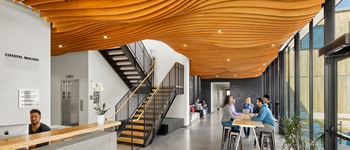 校園大廳裝修設(shè)計(jì)熱潮漸顯  國(guó)內(nèi)學(xué)校能借鑒就牛逼了