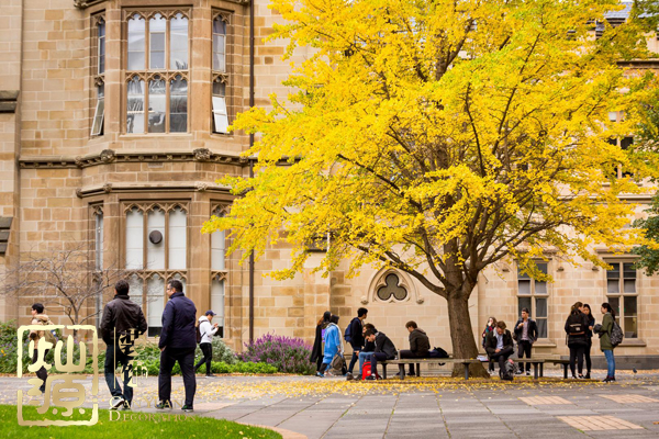 全球最佳留學城市排名出爐 【多圖】揭示全球排名前三城市首席大學真面目